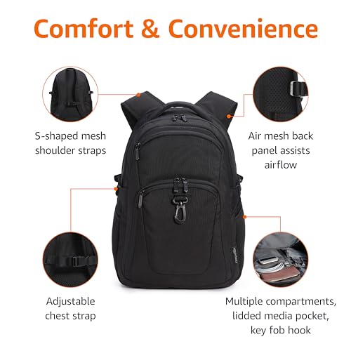 Amazon Basics 15.6 Inch Laptop Travel Backpack, Black